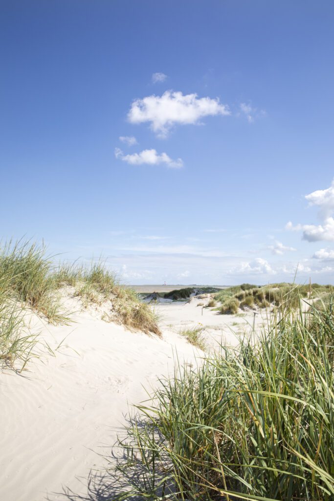 The Shepherd´s Coastal House 061-no-edit