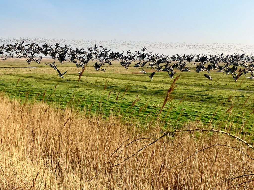 WhatsApp Image 2024-07-01 at 11.20-edit