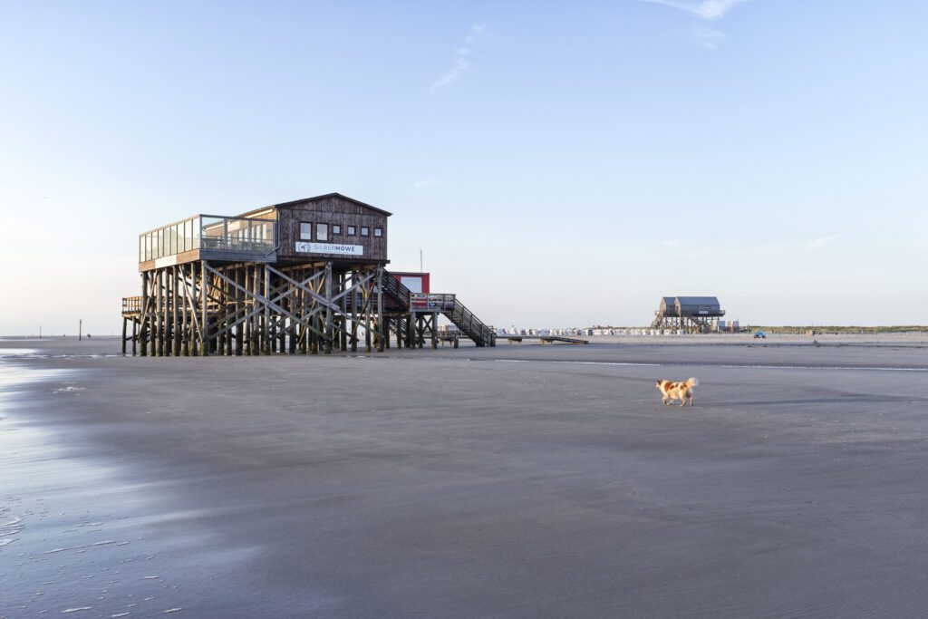 The Shepherd´s Coastal House 067_no-edit